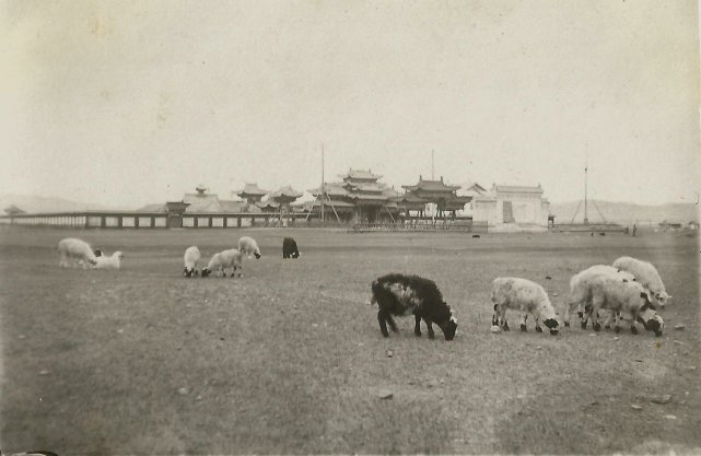 外蒙古为何“全民反华”：正常人80年前都给杀干净了！