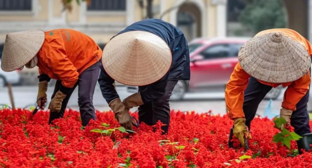 越南摸中国过河，却在溺水中喊救命