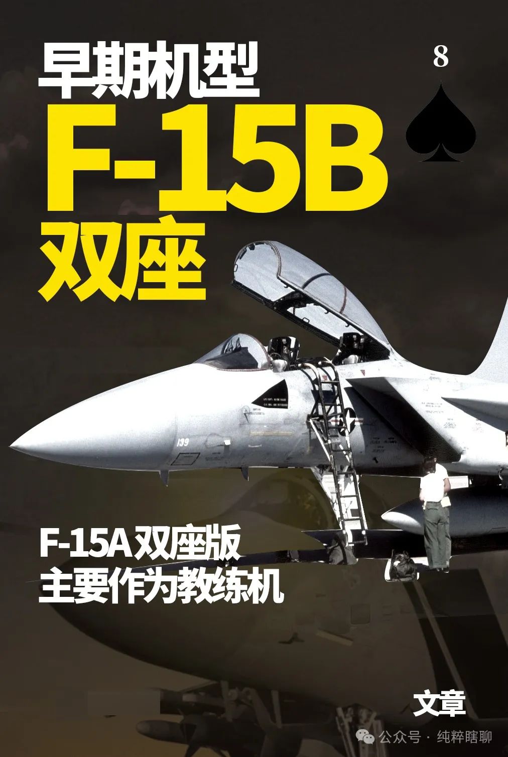 F-15鹰系列战斗机，美空军的骨干力量，重型战斗机的扛鼎之作