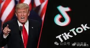 英国朋友谈“特朗普当选与TikTok的命运”