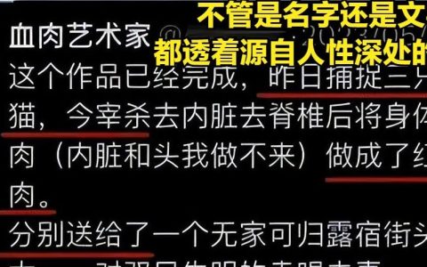 舆论为何不肯放过虐猫考生：因为与未成年人故意杀人一样，他们都是在钻法律的空子