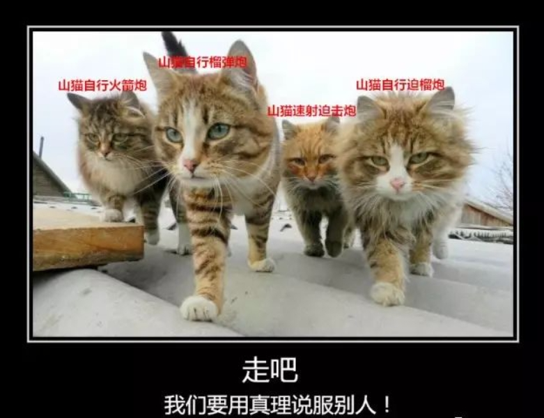 猫猫车诞生后，中国再无轻步兵